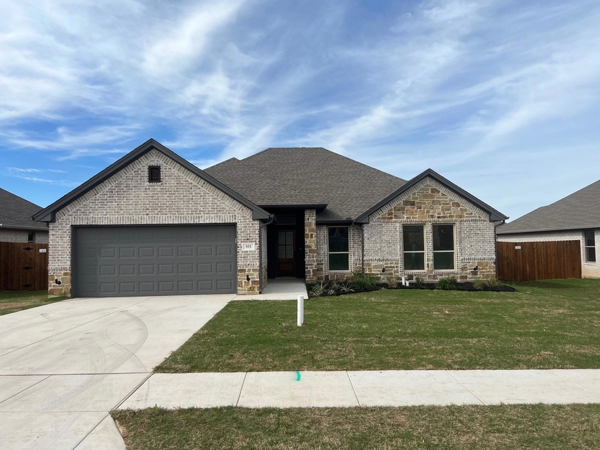 933 Avagail Ave, Springtown, TX 76082 - photo 1