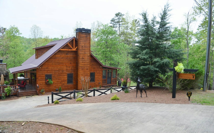 Main View