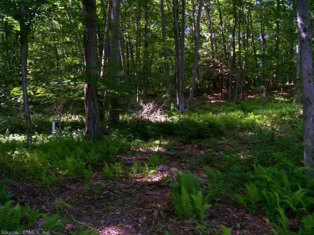 Land/Lot.