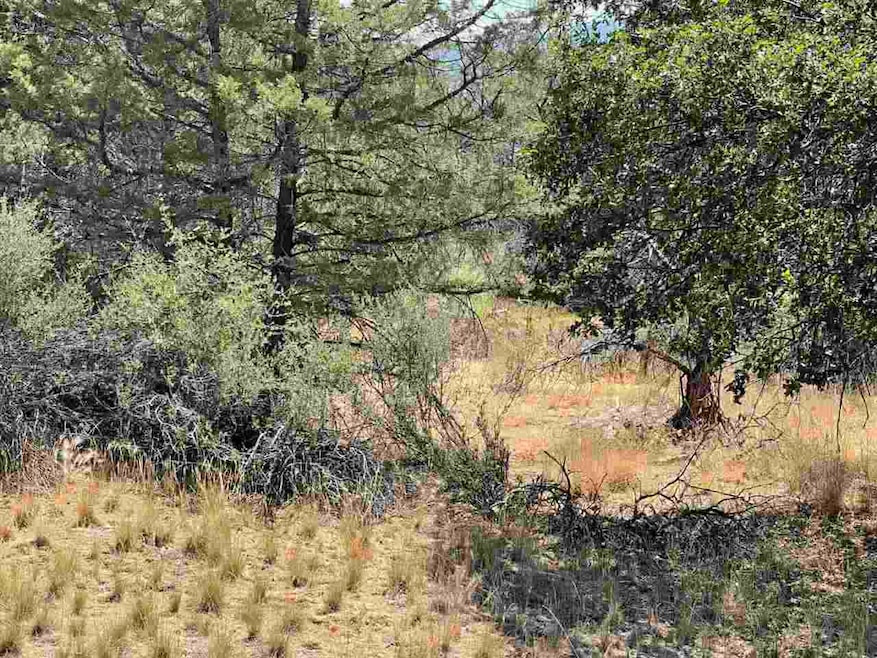 100+- Taylor Ave, Yreka, CA 96097 - photo 1