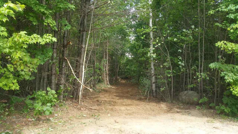 00 High Meadow Rd unit 29, Moultonborough, NH 03254 - photo 1