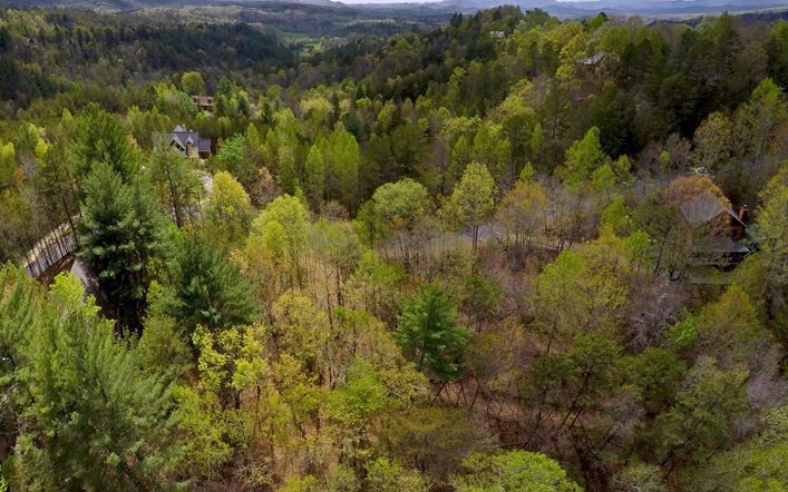 0 Turkey Trot Rd unit 283670, Morganton, GA 30560 - photo 1