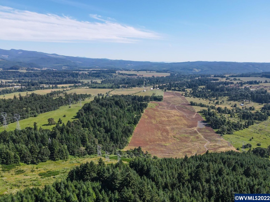 42480 Mount Pleasant Dr, Scio, OR 97374 - photo 1