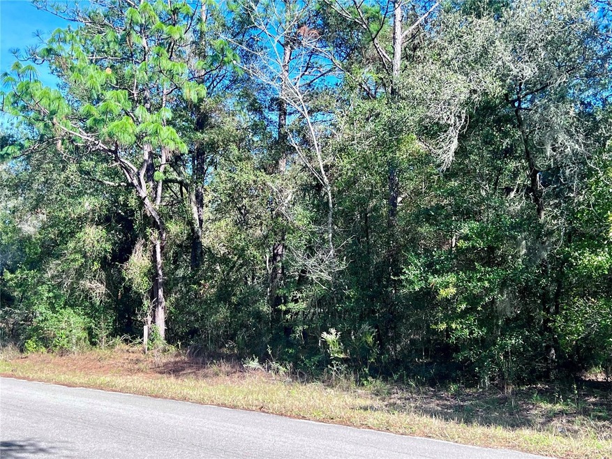 TBD SW 209th Court Rd, Dunnellon, FL 34431 - photo 1