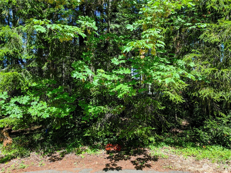 8809 Johnson Rd, Anderson Island, WA 98303 - photo 1