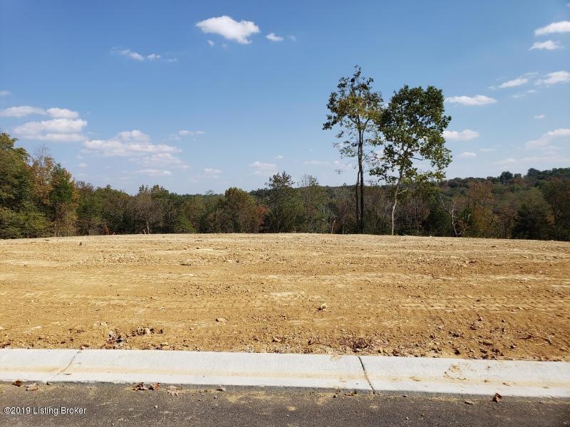 17 Kilner Goodlet Ct, Mount Washington, KY 40047 - photo 1