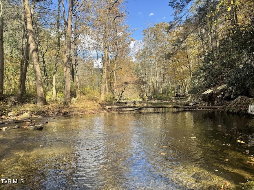 150 Little Branch Rd, Flag Pond, TN 37657 - photo 1