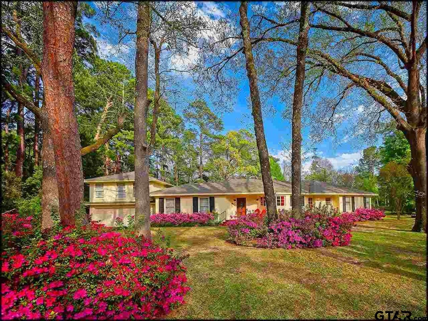 2224 2224 Old Bullard Rd, Tyler, TX 75701 - photo 1