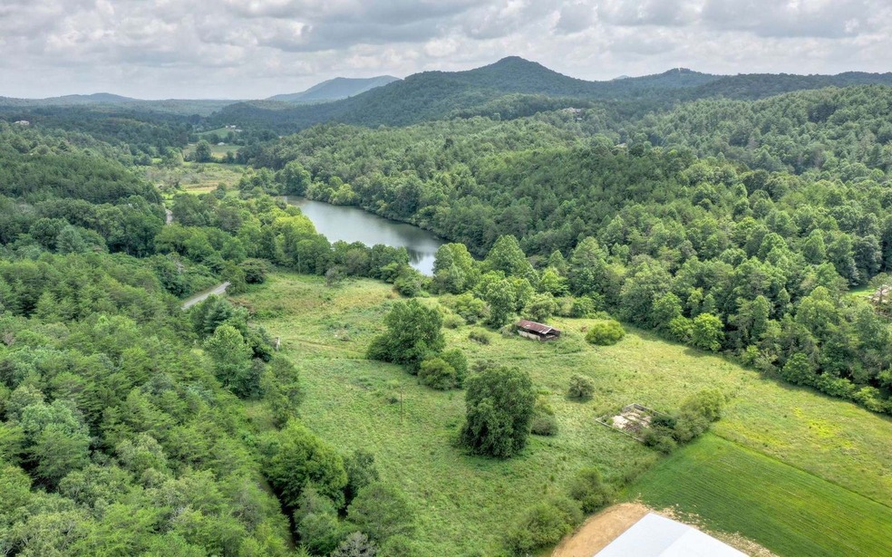 1443 Cutcane Rd, Mineral Bluff, GA 30559 - photo 1