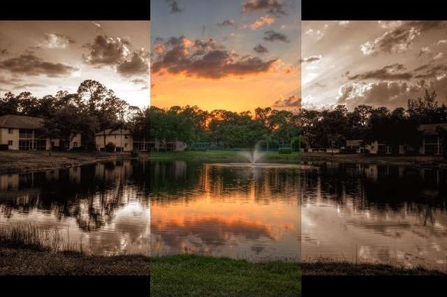 Back Yard Sunset