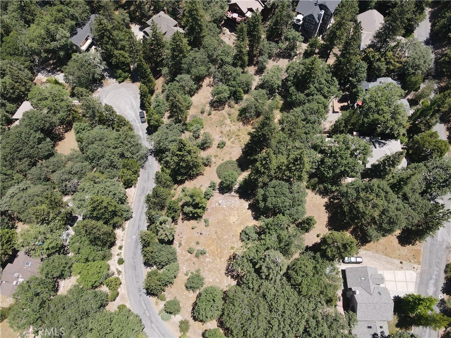 30209 Elfin Ct, Running Springs Area, CA 92382 - photo 1