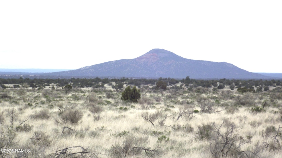 2424 E Valle Rd, Williams, AZ 86046 - photo 1