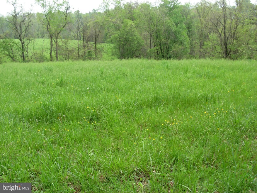 0 Cooksville Rd, Blue Ridge, VA 20132 - photo 1