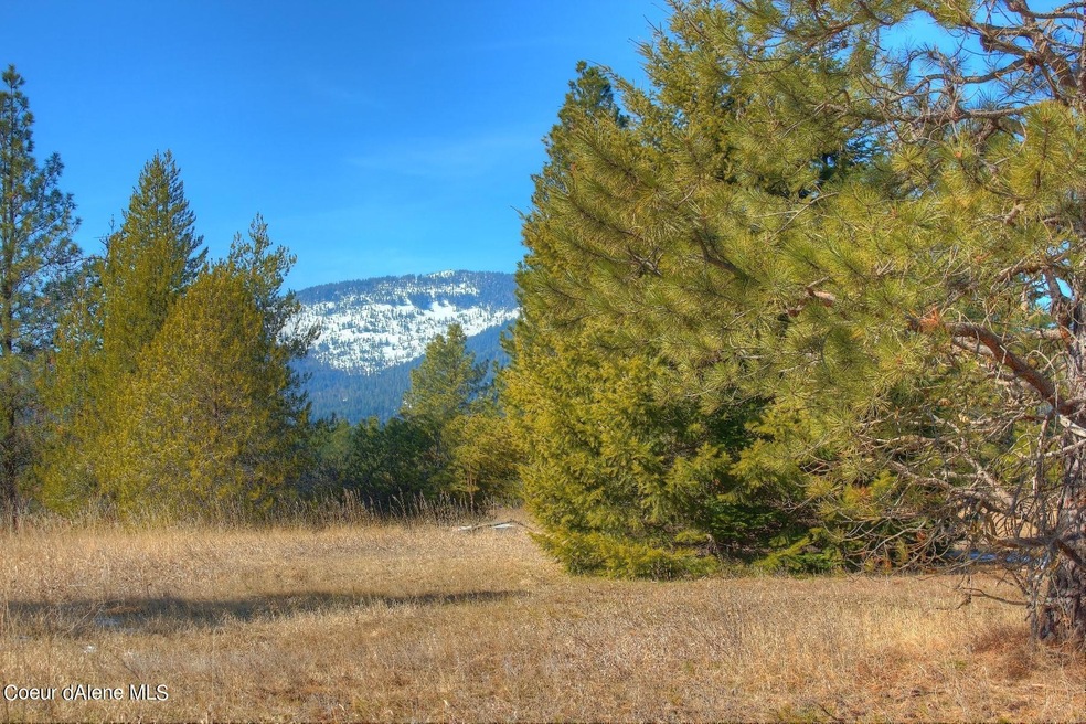 Mountain Views