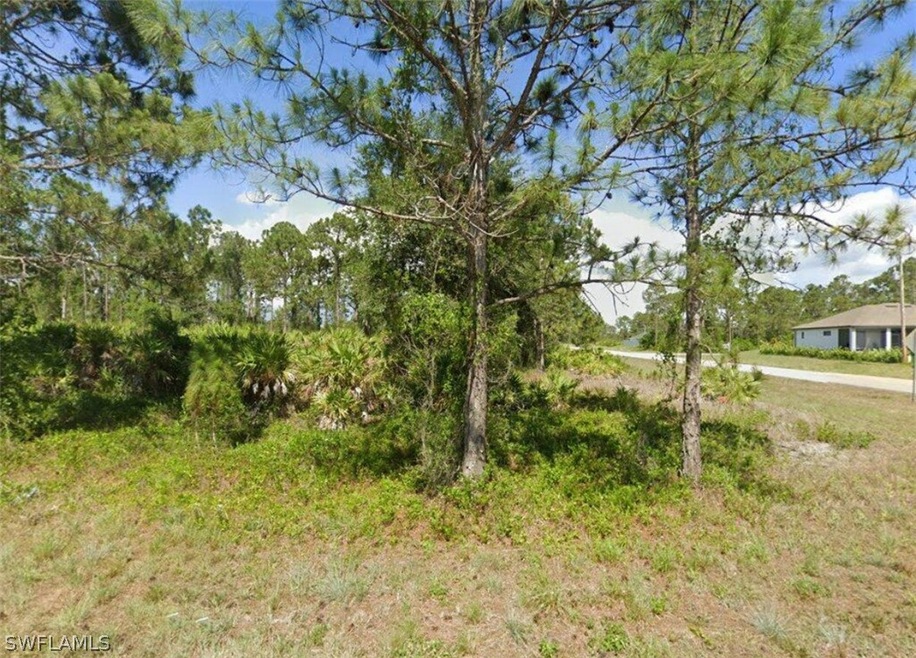 771 Burns Ave S, Lehigh Acres, FL 33974 - photo 1