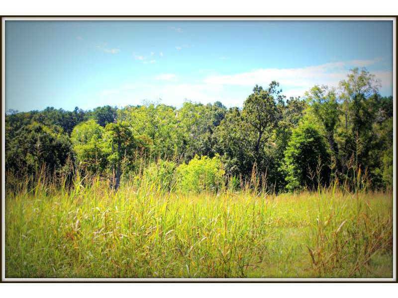 20988 Double Tree Crossing, Springdale, AR 72762 - photo 1