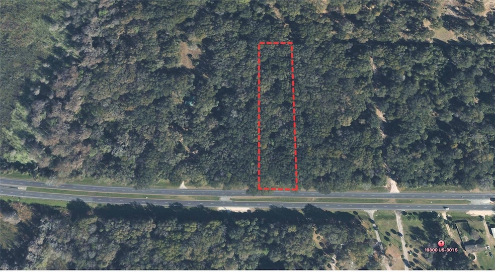 00 N Hwy 301, Citra, FL 32113 - photo 1