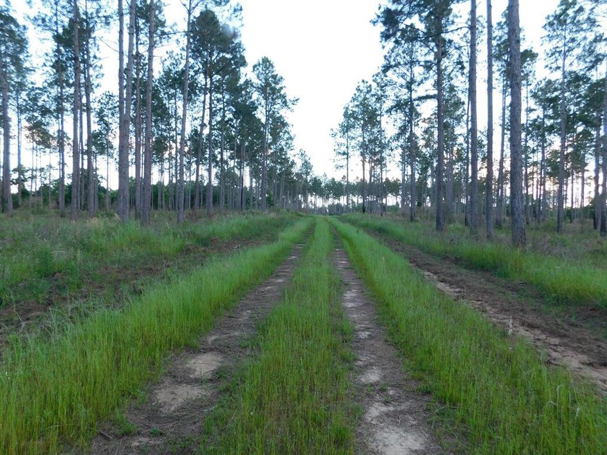 00 Hurst Tate Rd, Meigs, GA 31765 - photo 1