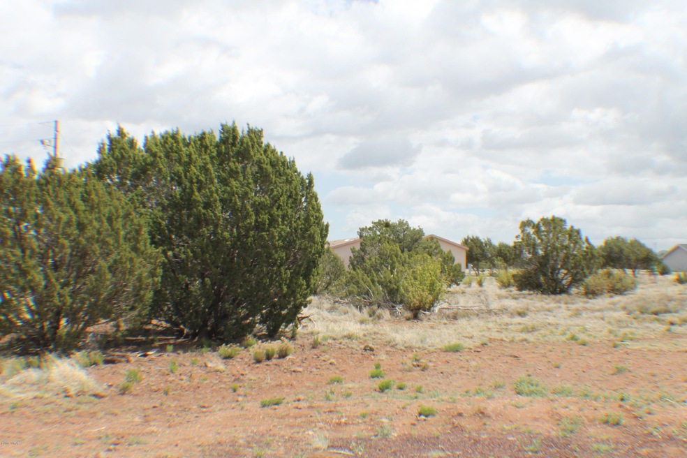 Parcel B Bourdon Ranch Rd, Show Low, AZ 85901 - photo 1