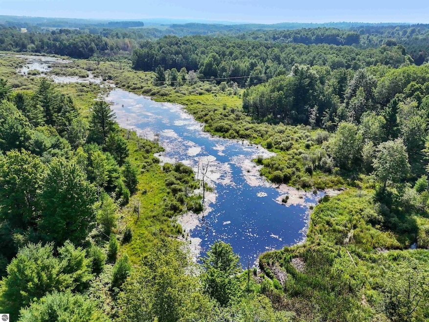 00 W Arnold Rd, Manton, MI 49663 - photo 1