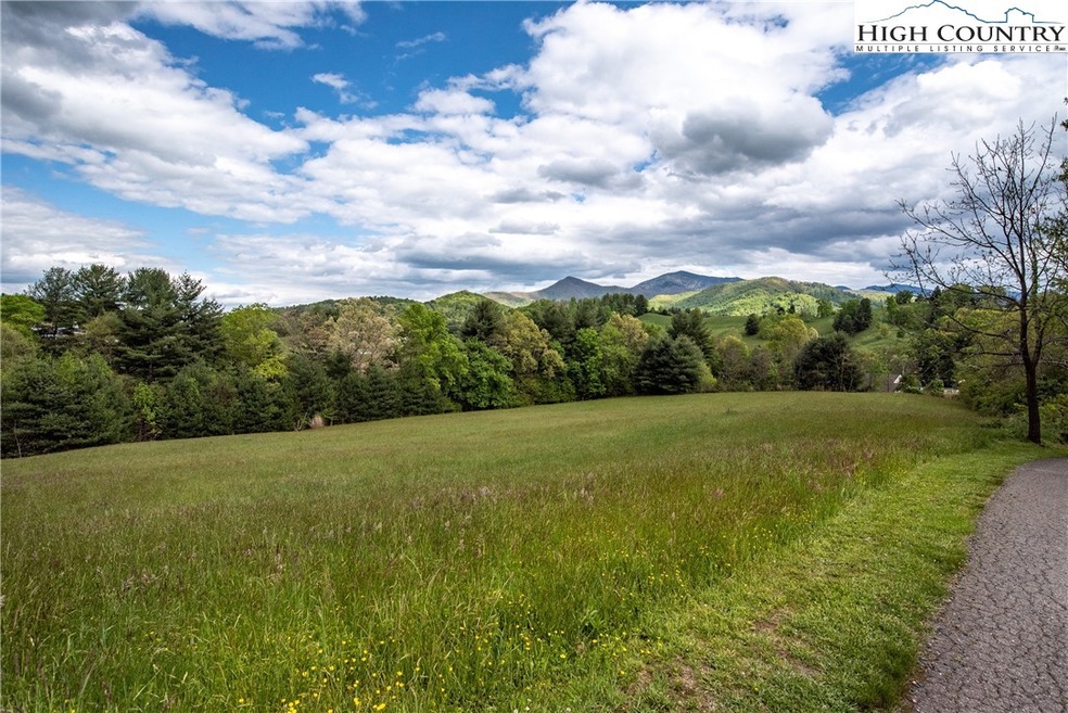 99999 Charlie Brown Rd, Burnsville, NC 28714 - photo 1