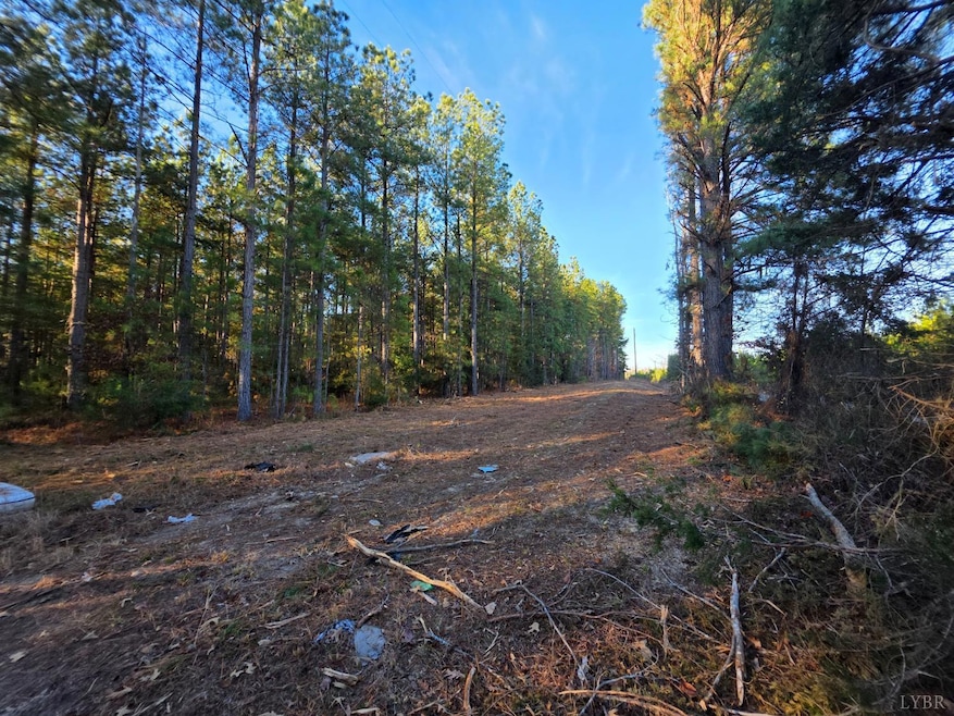 0 Mountain Creek Rd unit 363328, Meherrin, VA 23954 - photo 1