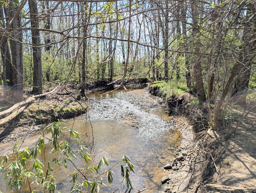 Stream