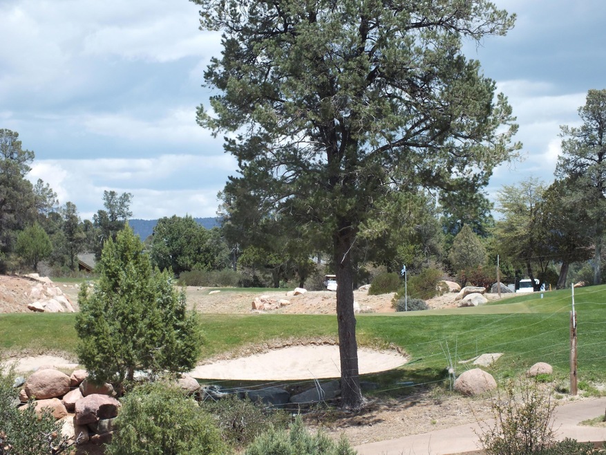 1005 N Indian Paintbrush Circle