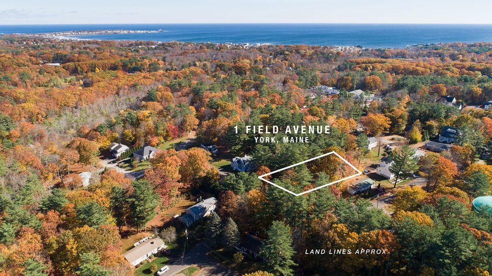 1 Field Ave, York