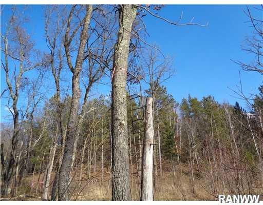 0 Fairgrounds Rd unit 902003, Lincoln Township, WI 54893 - photo 1