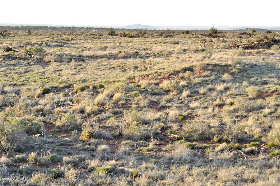 Looking southeast