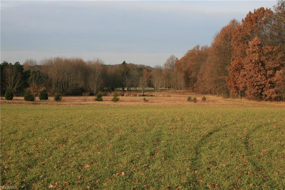 6395 Grove Rd, New Franklin, OH 44216 - photo 1