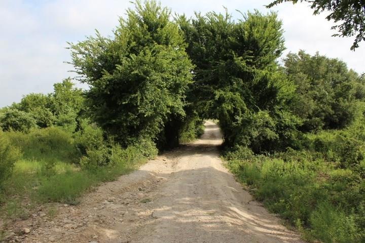 3631 Old Garner Rd, Weatherford, TX 76088 - photo 1