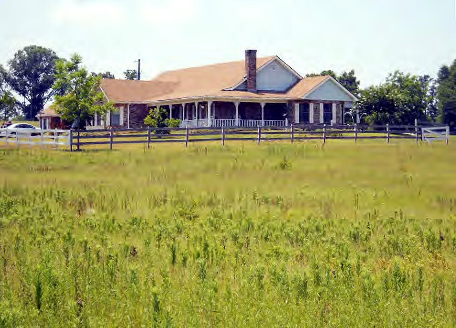 Main View