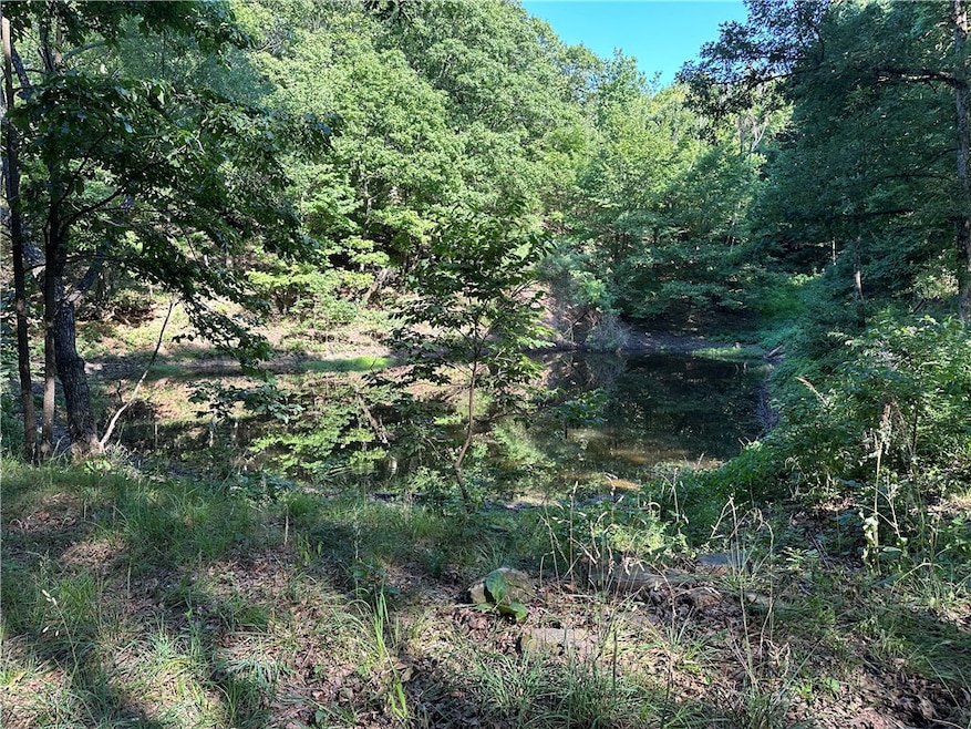 15496 Low Gap Rd, West Fork, AR 72774 - photo 1