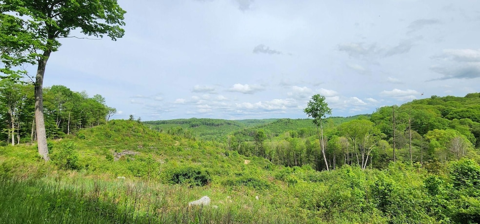 0 Bailes Rd, Nettie, WV 26681 - photo 1