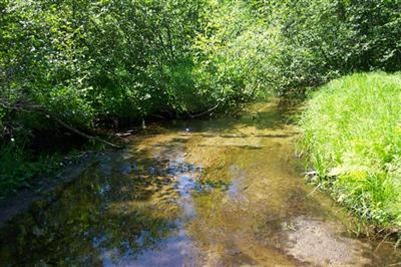 1791 W 17 Mile Rd, Lilley Township, MI 49309 - photo 1