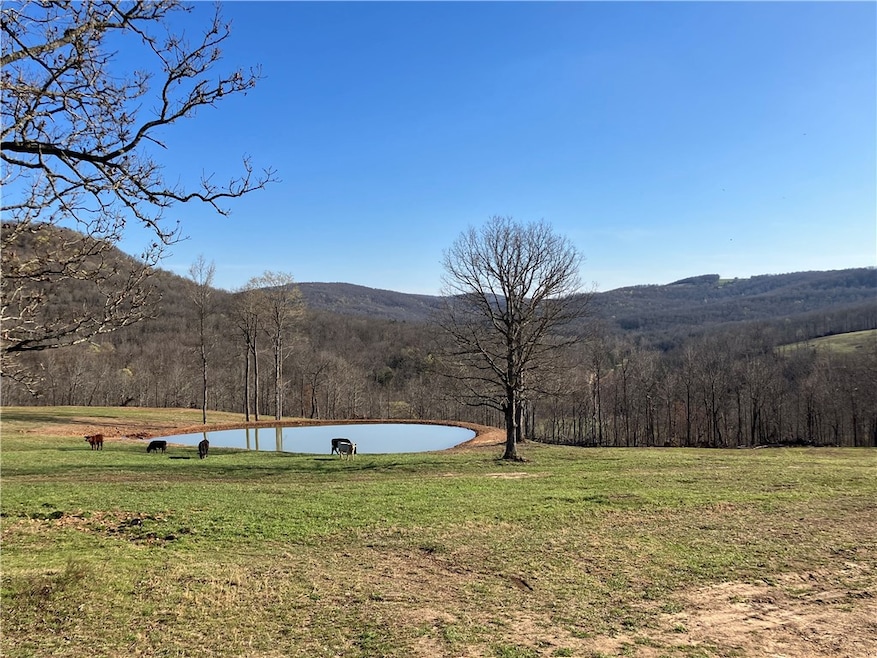 14114 Madison 3605, Kingston, AR 72742 - photo 1