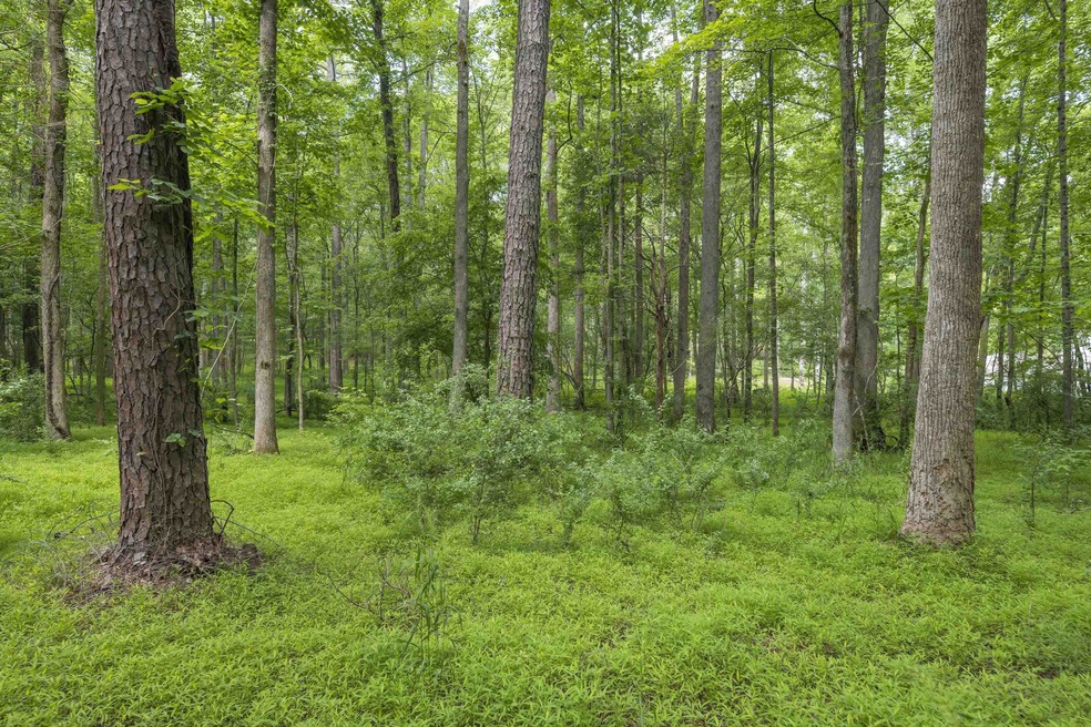 2624 Old Graham Rd, Pittsboro, NC 27312 - photo 1