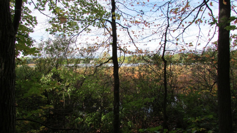 buck lake (3)