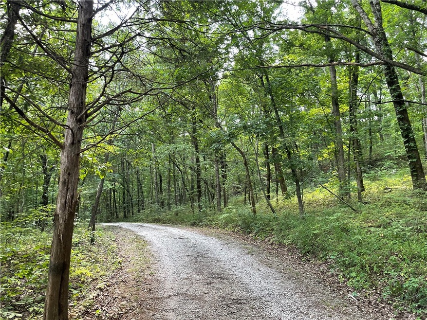 0 Hazel Valley Rd unit 1255082, Elkins, AR 72727 - photo 1