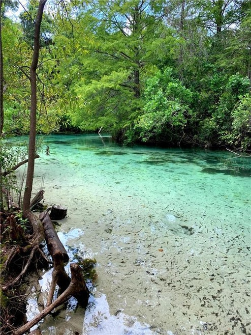 Weeki Wachee River view from the back property RPZ