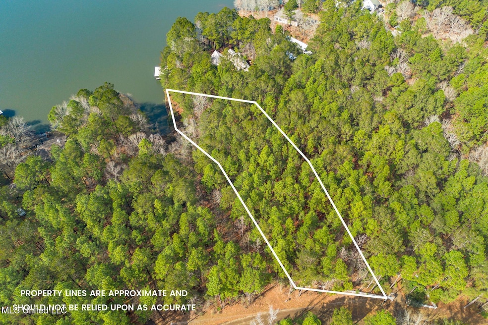 Lot 13-A Deep Water Point, Lumberton, MS 39455 - photo 1