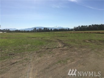 1749 Farmview Trace, Lynden, WA 98264 - photo 1