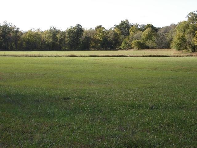 Primary Photo