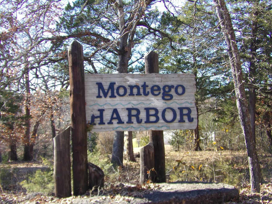 000 Montego Dr, Ruth B Rural Township, MO 65686 - photo 1