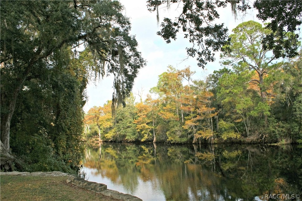 9673 N Auburn Point, Dunnellon, FL 34434 - photo 1