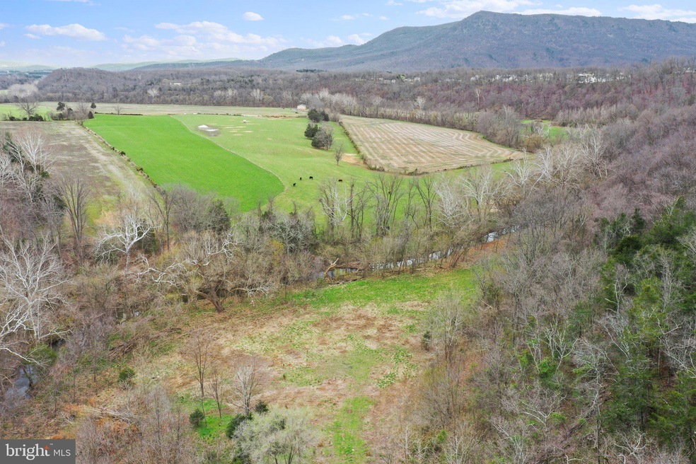 TBD Island Farm Rd, Strasburg, VA 22657 - photo 1