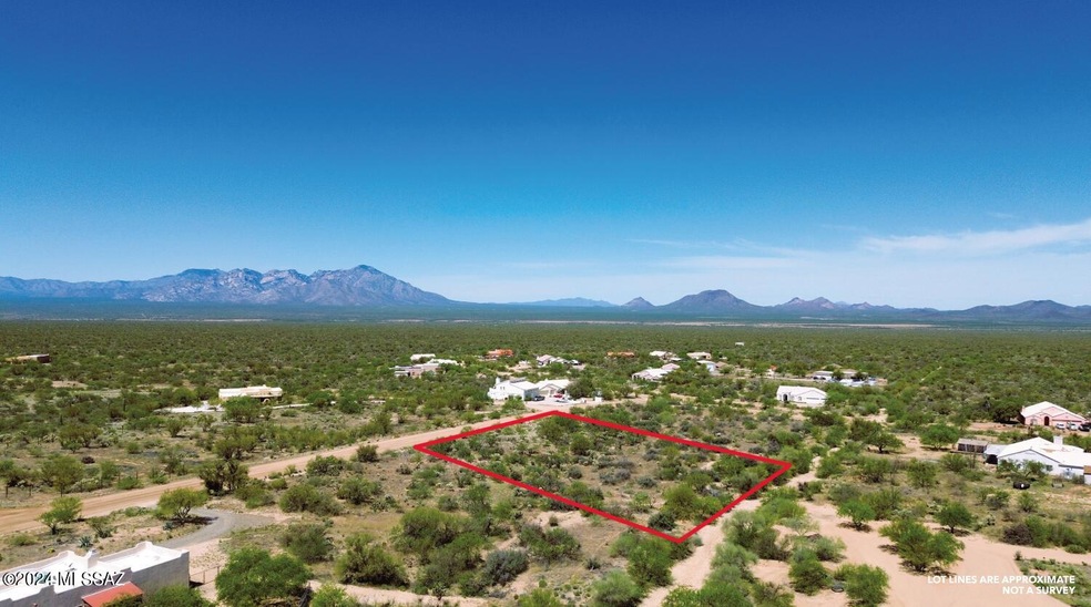lot 195 facing west