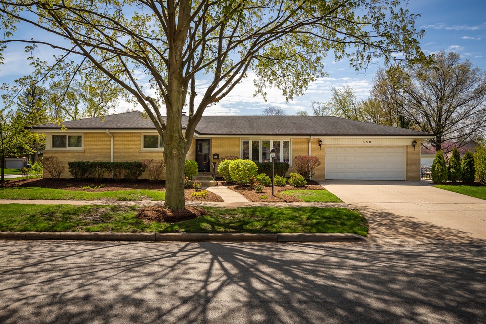 Welcome to 250 W. Adams Street